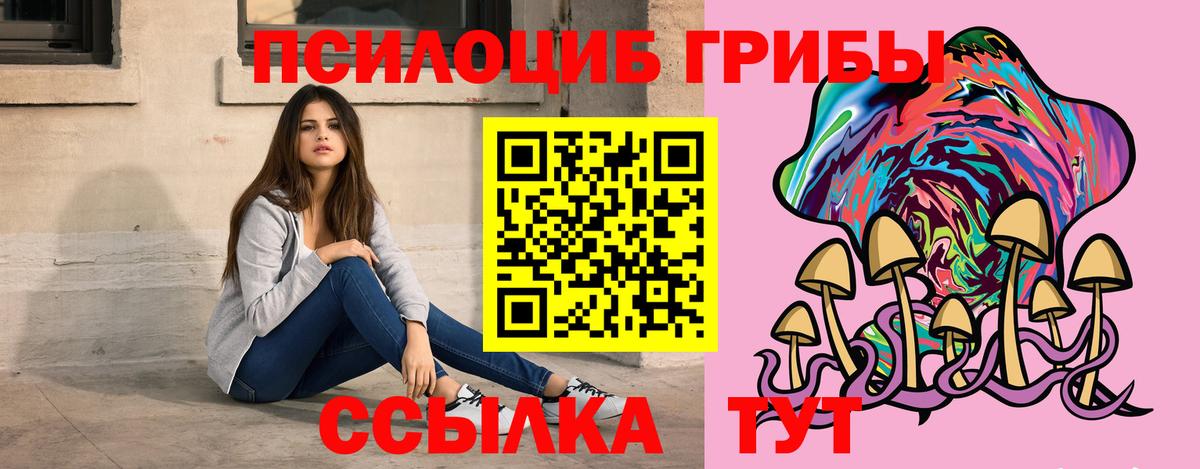 Псилоцибиновые грибы GOLDEN TEACHER  Галлюциногенные грибы прущие грибы  Сочи  Вход с VPN 