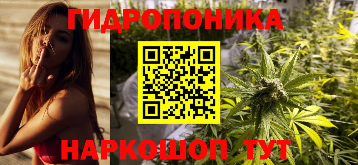 Бошки Шишки конопля Сочи